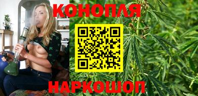 сатива Коломна