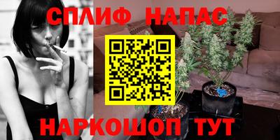 сатива Коломна