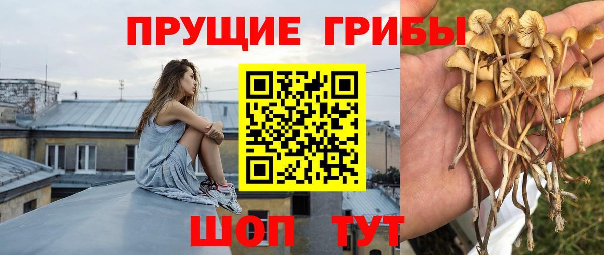 Псилоцибиновые грибы MAGIC MUSHROOMS Удомля