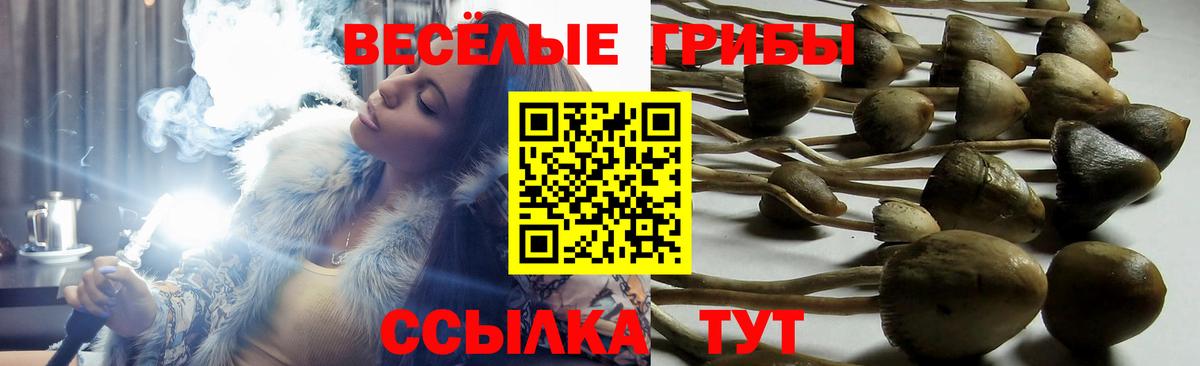Галлюциногенные грибы Cubensis  что такое   Удомля  Галлюциногенные грибы мухоморы  Вход с VPN 